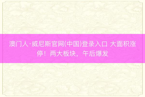 澳门人·威尼斯官网(中国)登录入口 大面积涨停!两大板块,午后爆发