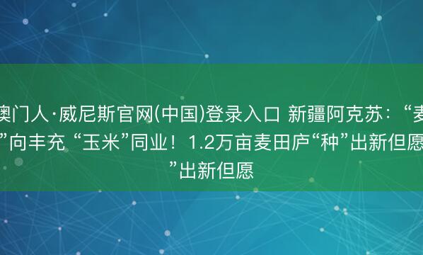 澳门人·威尼斯官网(中国)登录入口 新疆阿克苏：“麦”向丰充 “玉米”同业！1.2万亩麦田庐“种”出新但愿