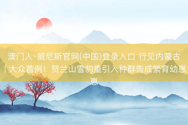 澳门人·威尼斯官网(中国)登录入口 行见内蒙古 | 大众首例！贺兰山雪豹重引入种群告成繁育幼崽